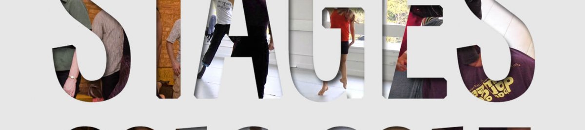 les-stages-2016-2017-danse-villeneuve-dascq