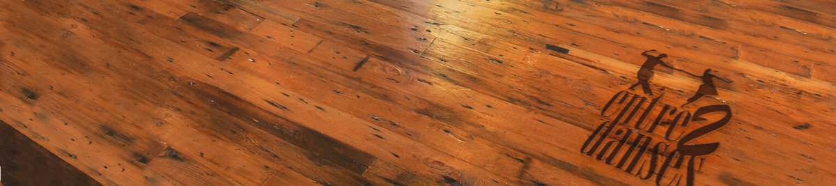 image parquet entre2danses logo